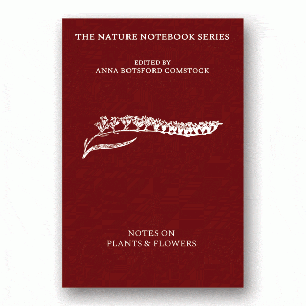 Notes on Plants and Flowers