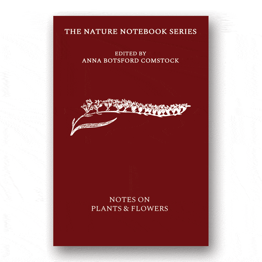 Notes on Plants and Flowers