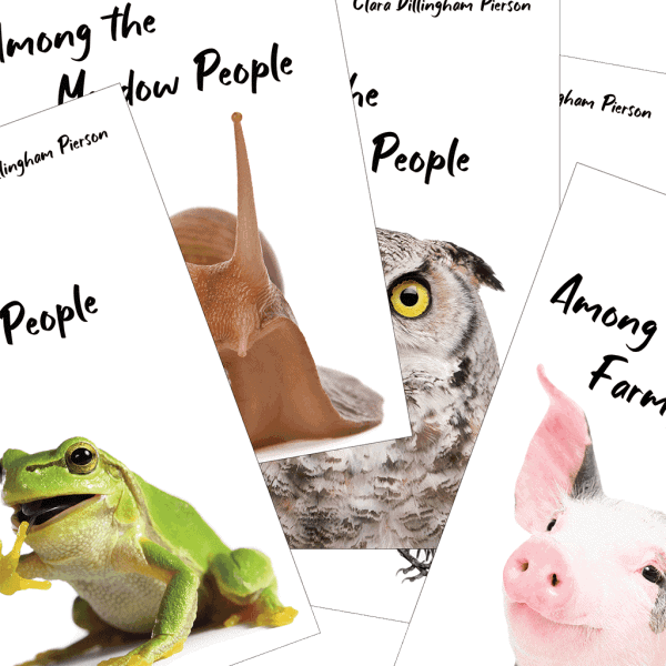 Among the... People Bundle - Pierson