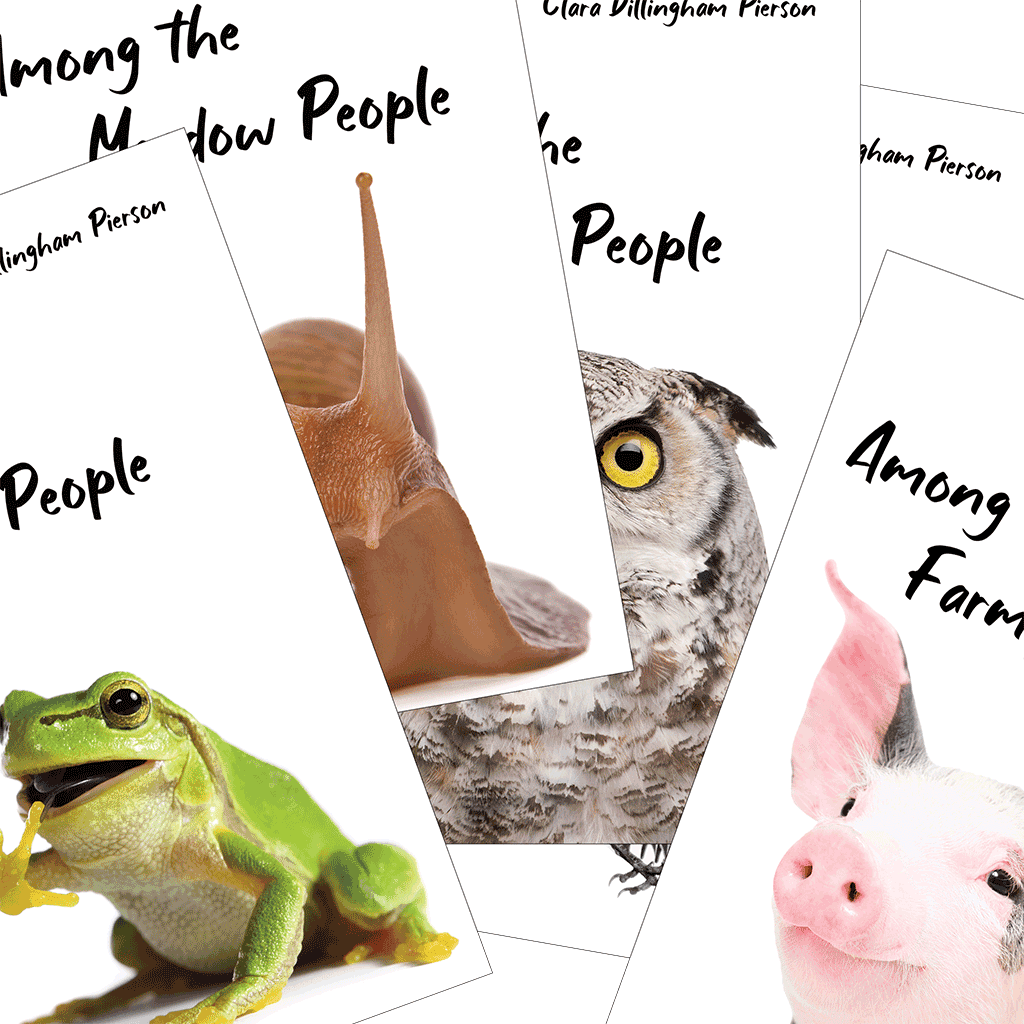 Among the... People Bundle - Pierson