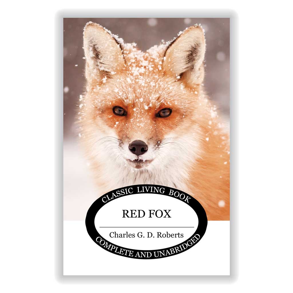 Red Fox