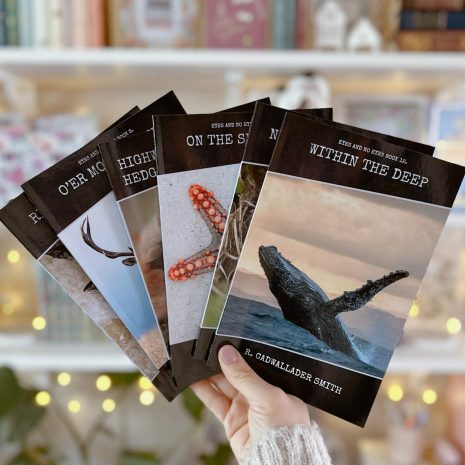 Processed with MOLDIV