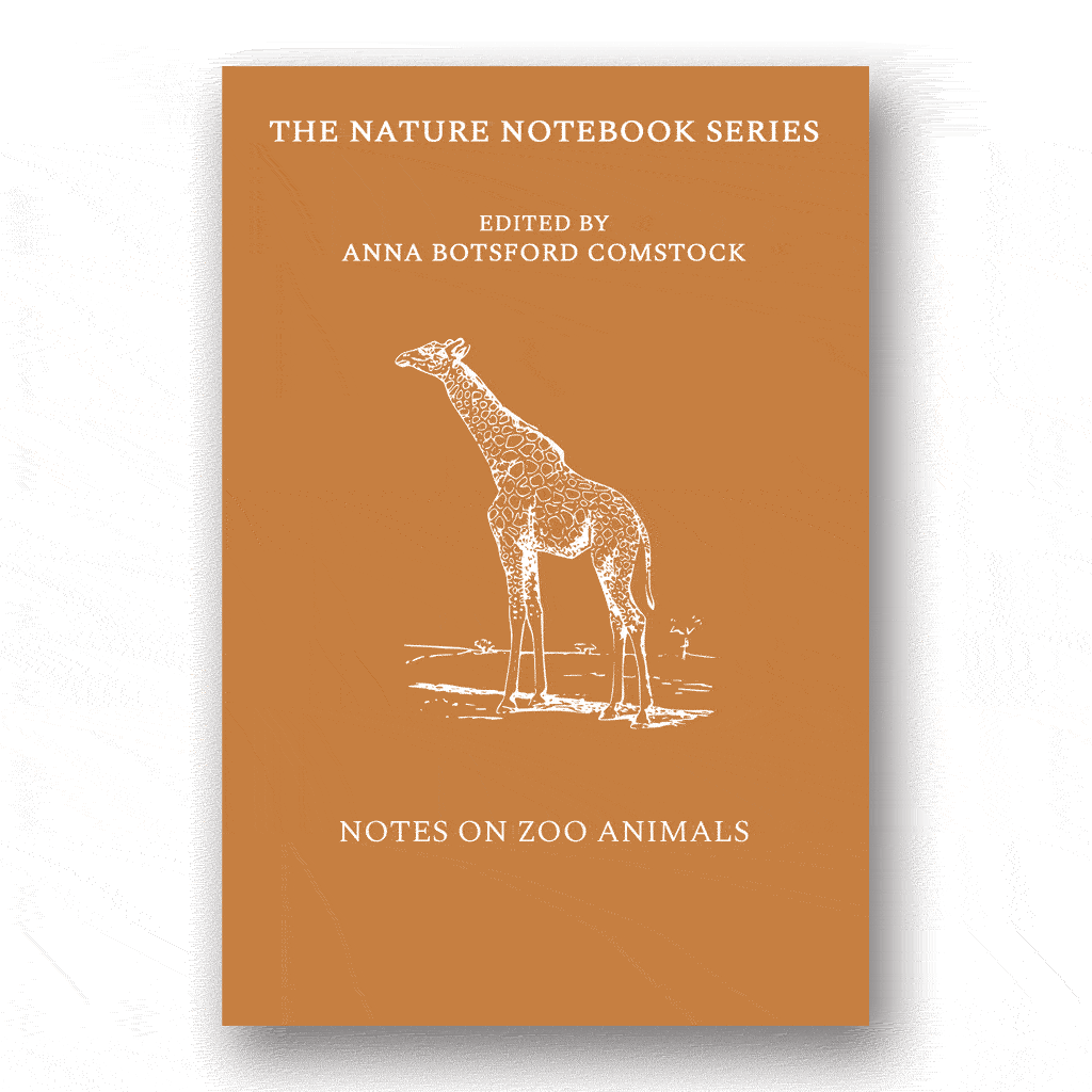 Notes on Zoo Animals