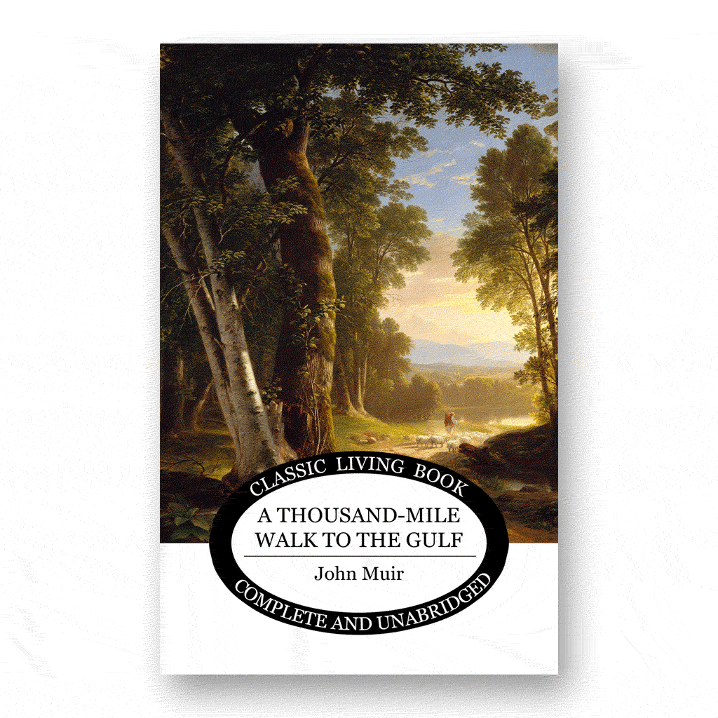 A Thousand-Mile Walk to the Gulf