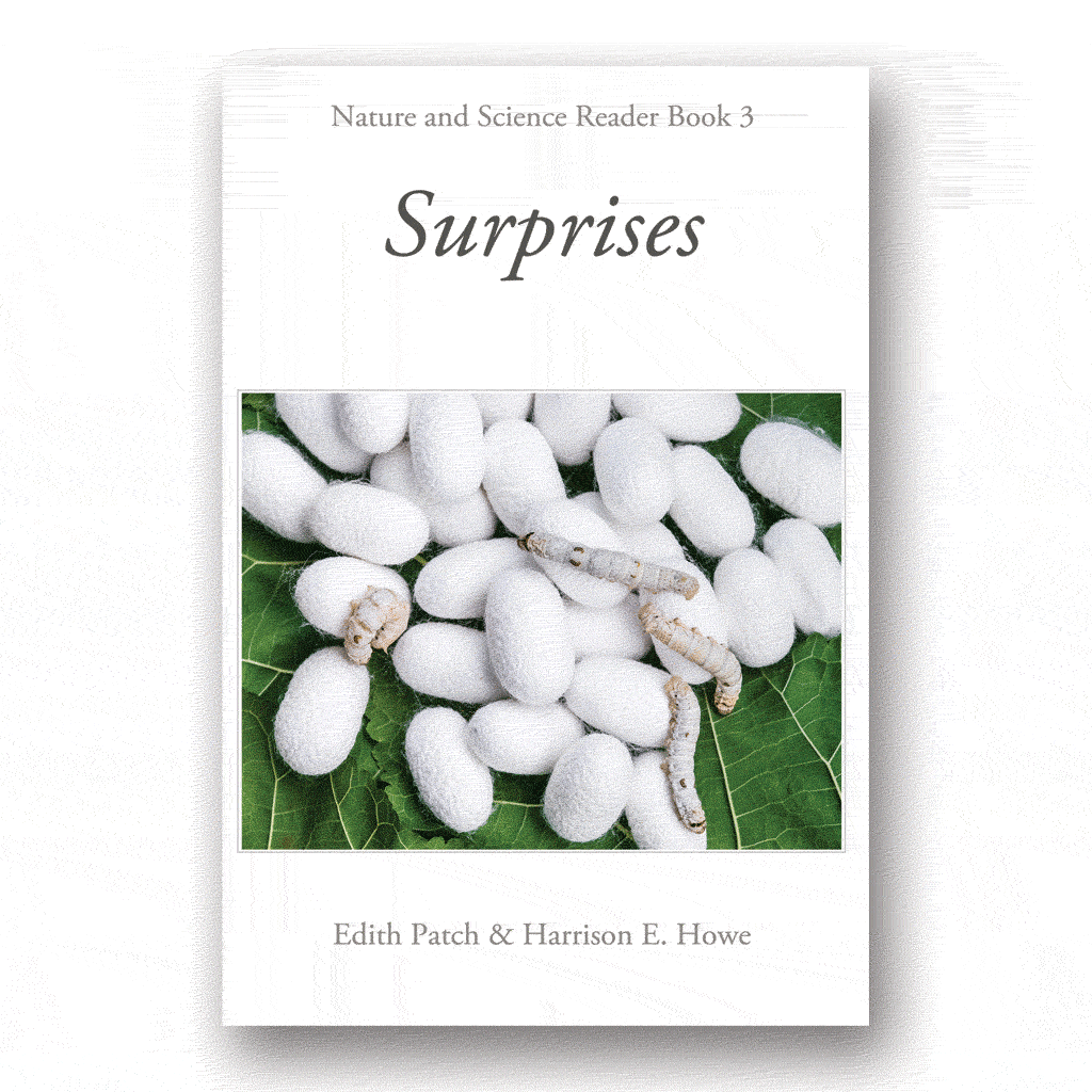 Surprises