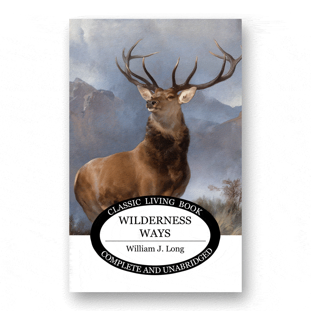 Wilderness Ways