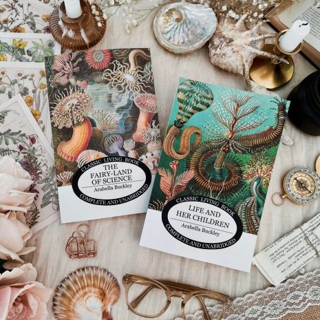 Processed with MOLDIV