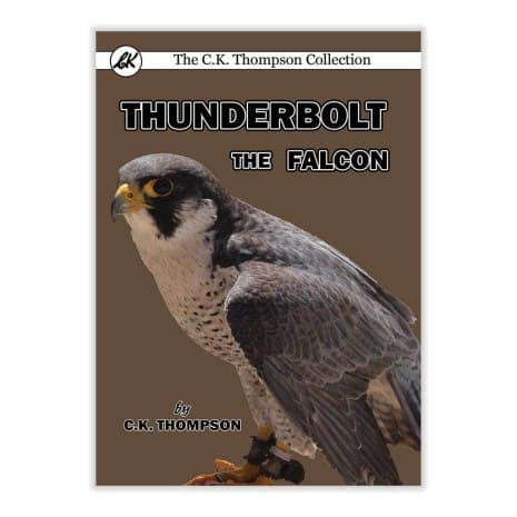 Thunderbolt the Falcon