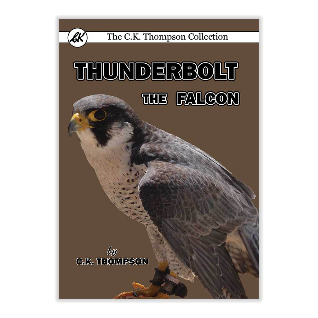 Thunderbolt the Falcon