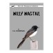 Willy Wagtail