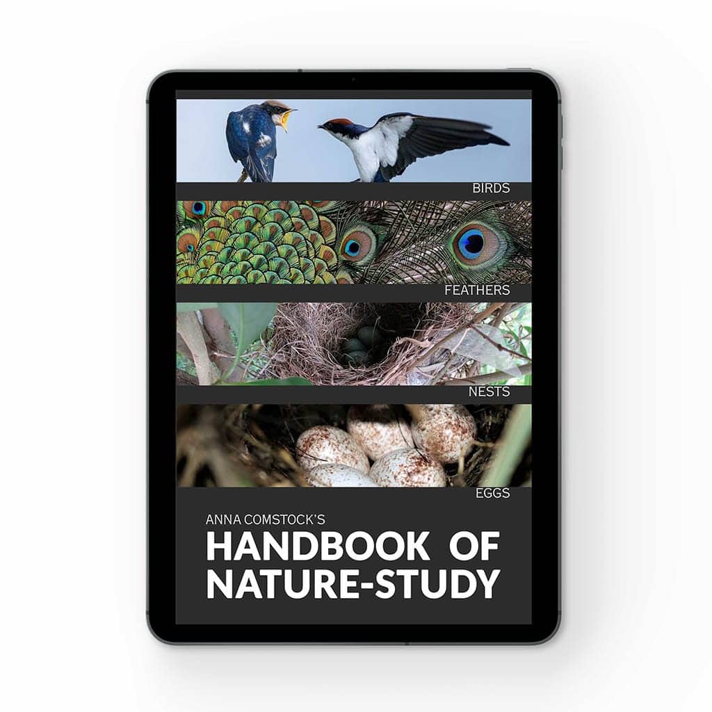 Handbook of Nature Study Bundle - digital