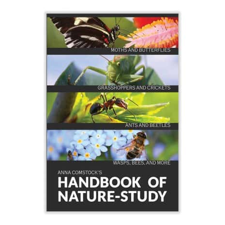 Handbook of Nature Study, Insects