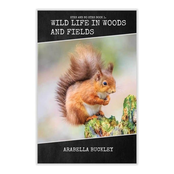 Wild Life in Woods and Fields