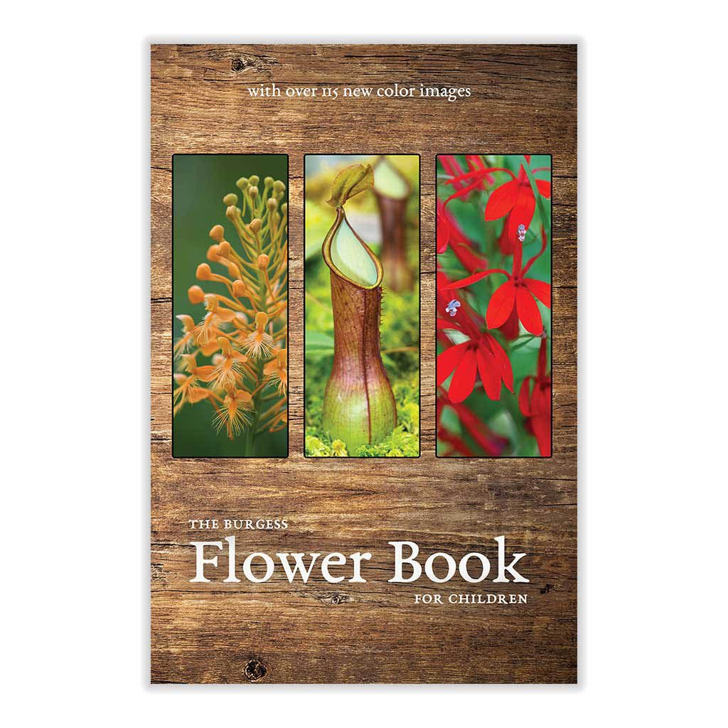 The Burgess Flower book with new images