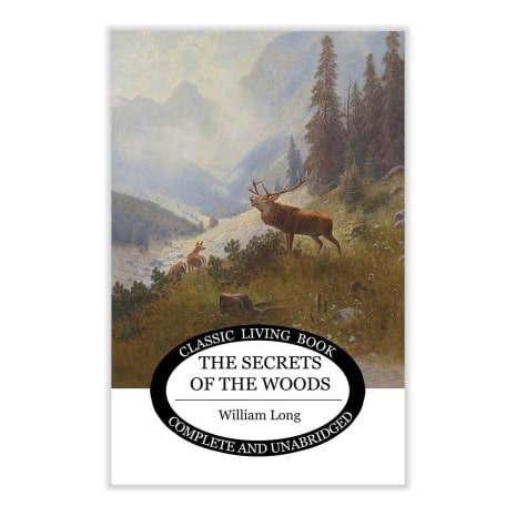 The Secrets of the Woods