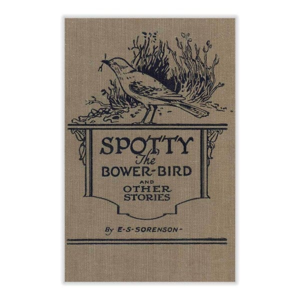 Spotty the Bowerbird: and other nature stories