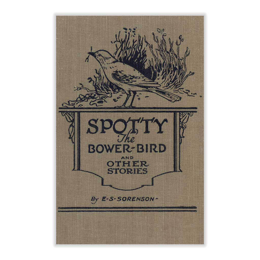 Spotty the Bowerbird: and other nature stories