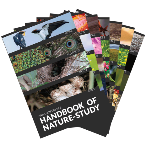 Handbook of Nature Study Bundle