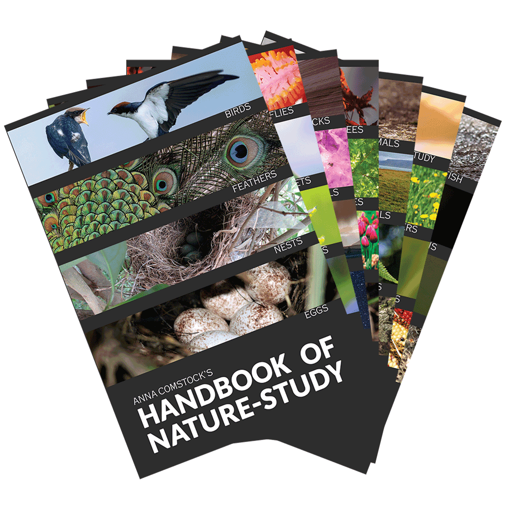 Handbook of Nature Study Bundle