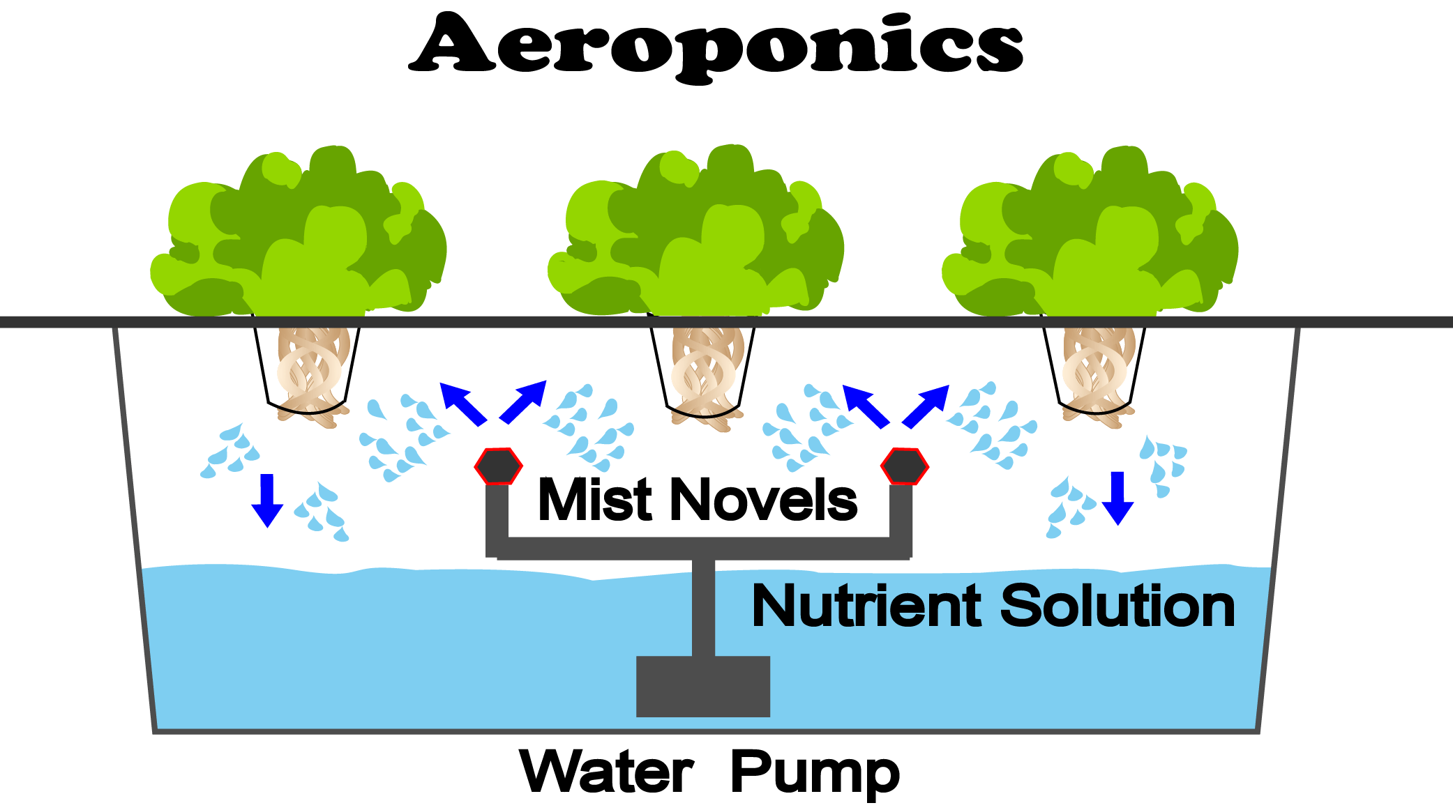 Aeroponics (Hydroponic System)