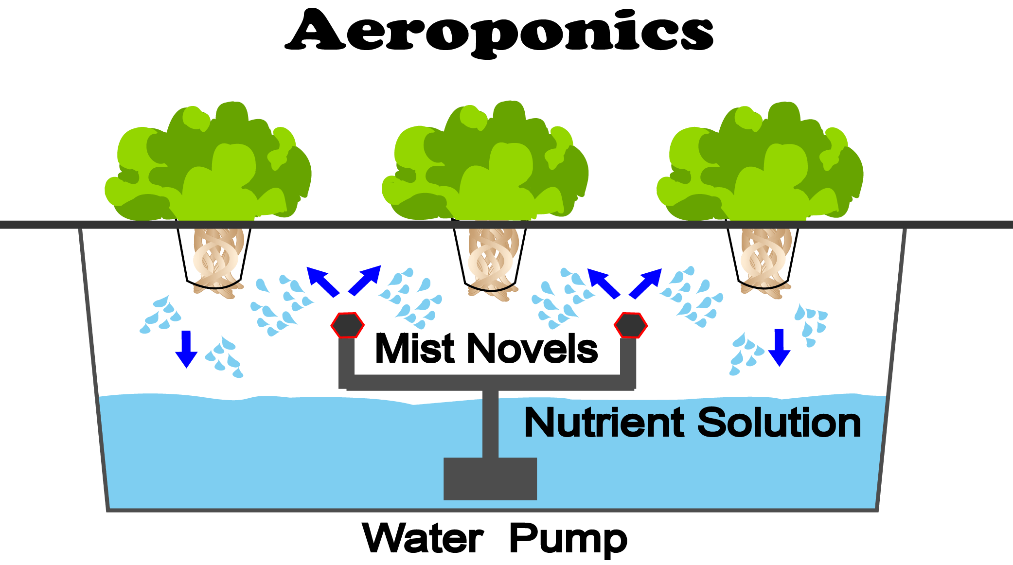 Aeroponics (Hydroponic System)
