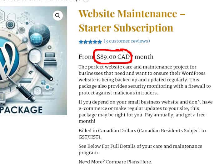 screenshot showing CAD after price on woocommerce product page