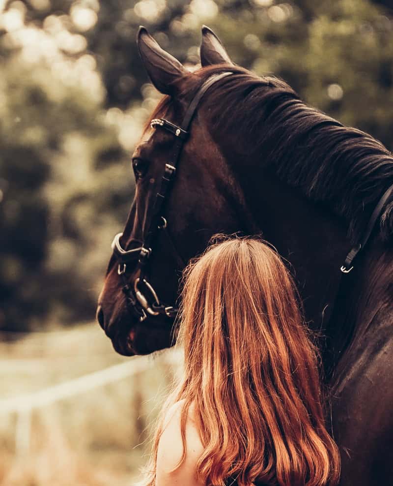 Girl standing beside a dark brown horse at an outdoor riding stable