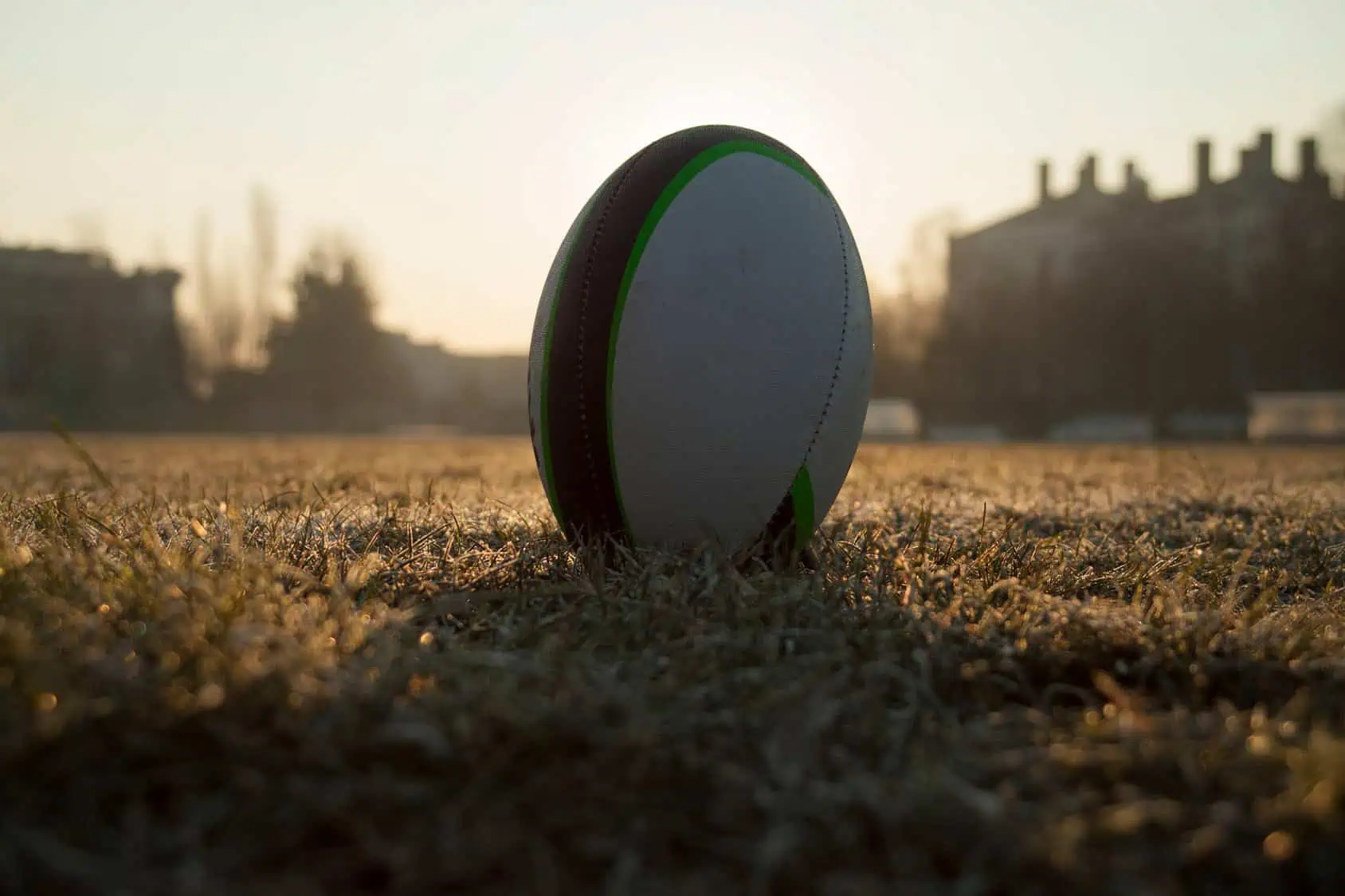 A rugby ball standing on grass in low evening light.