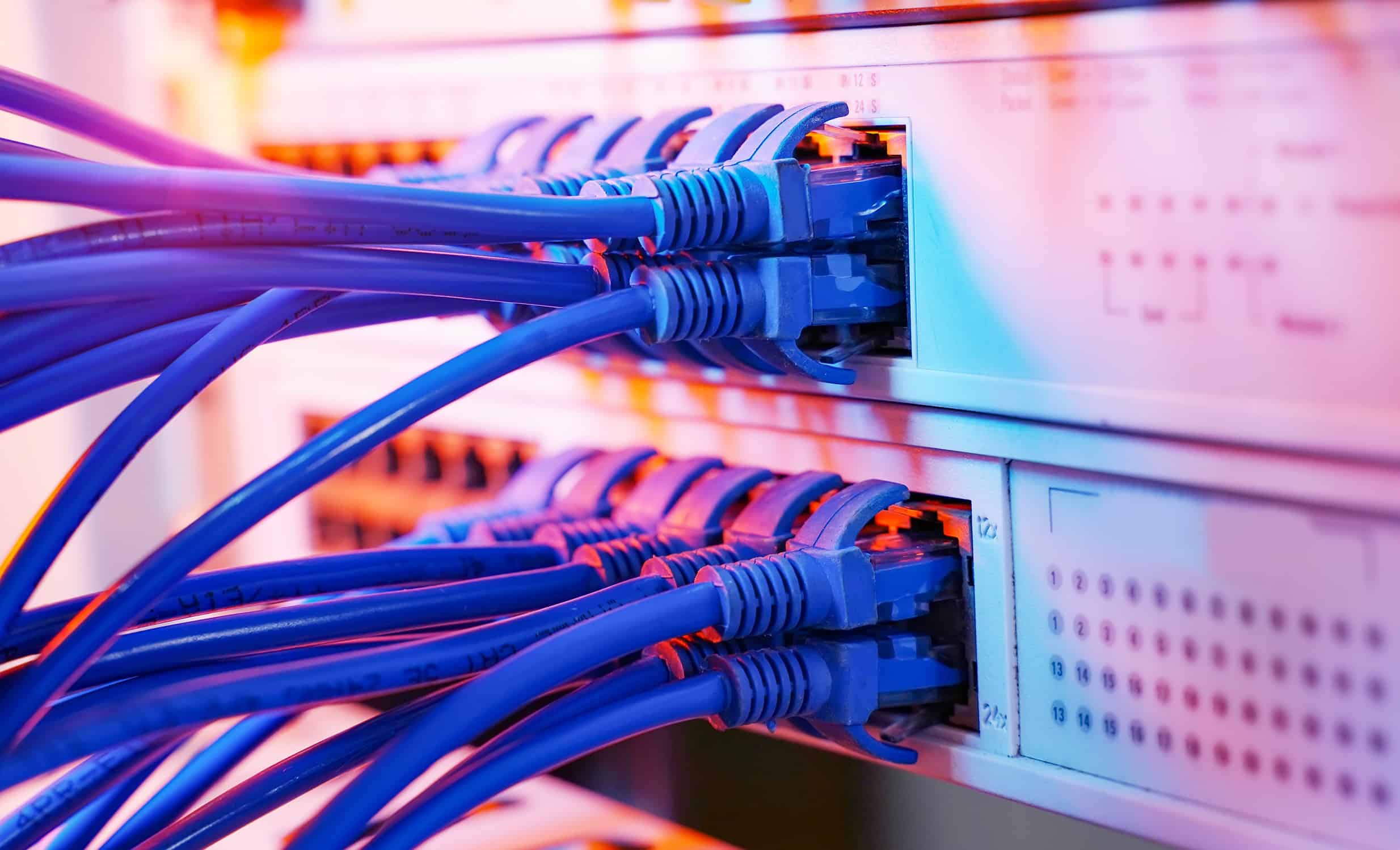 Blue network cables connected to server equipment.