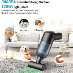 I Need A Clean Living Room