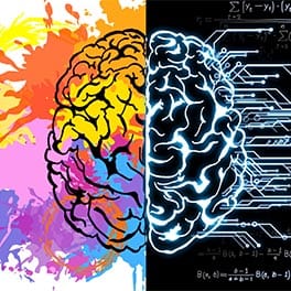 Colorful Brain Neurons