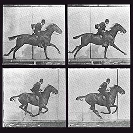 Horse Running, Frame by Frame