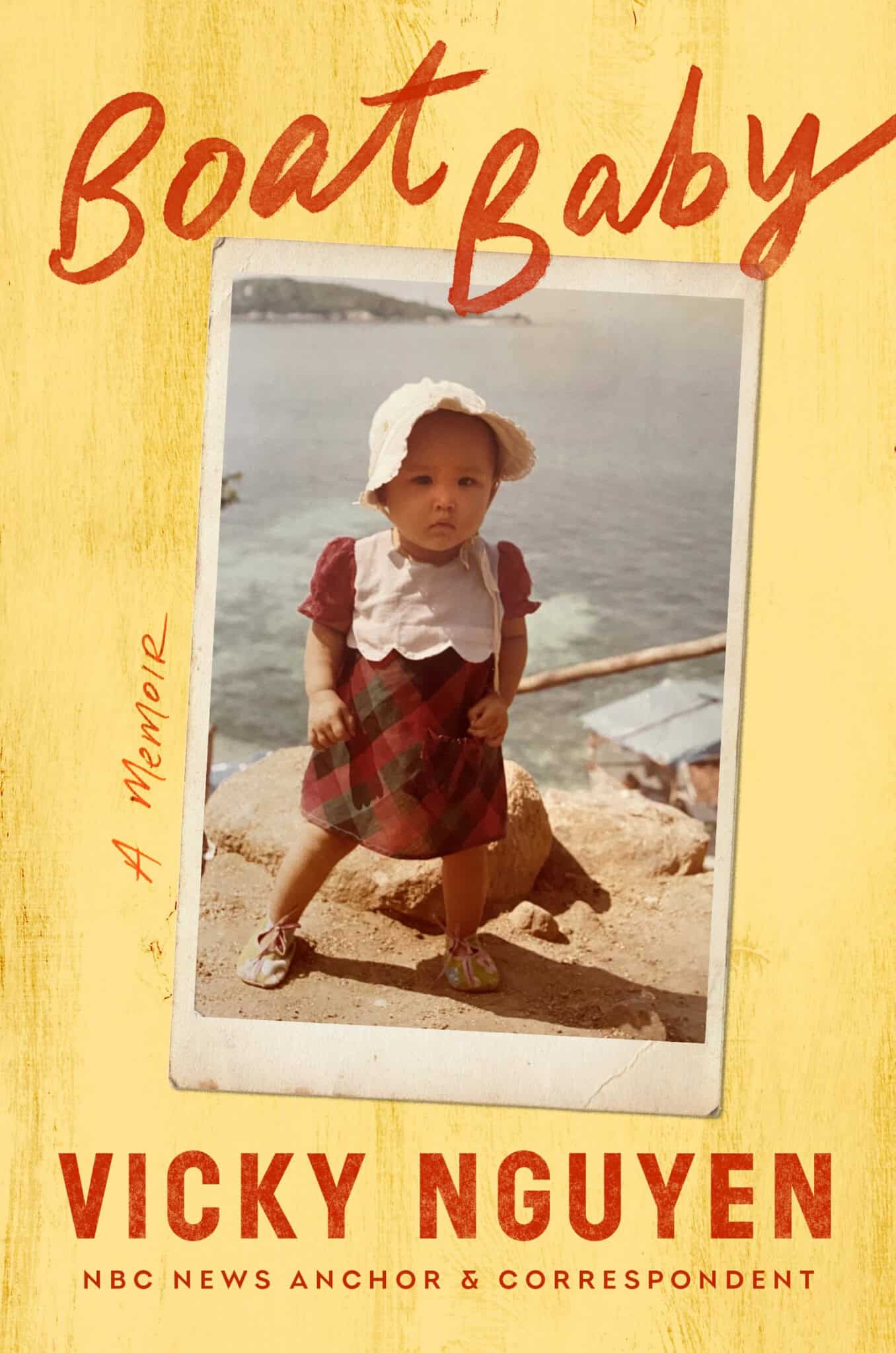 Book cover of "Boat Baby" by Vicky Nguyen.