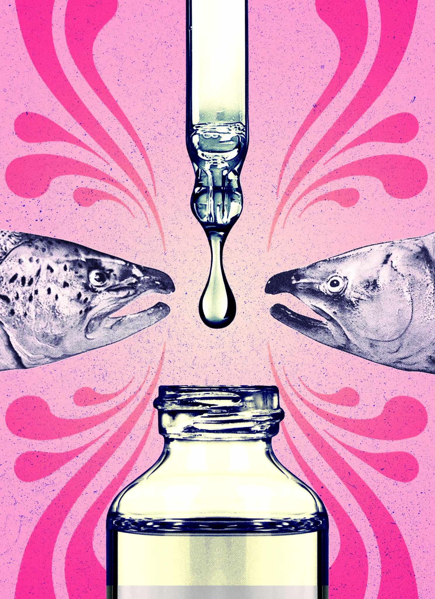 Two fish face each other on a pink background as a dropper releases liquid into a vial between them, with decorative swirls radiating outward.