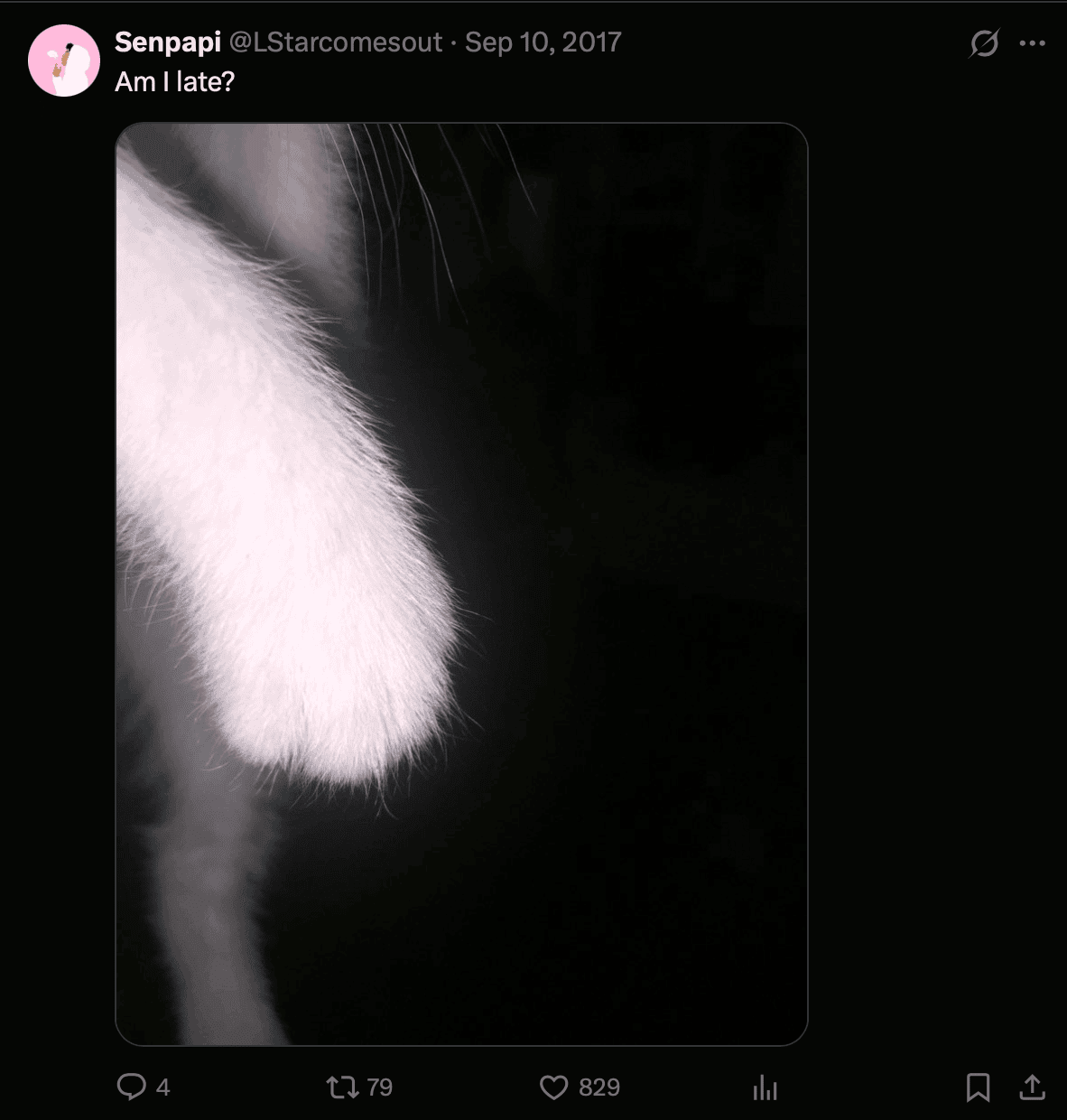A close-up photo of a cat’s white furry paw in dim lighting, with the rest of the cat mostly in shadow. Twitter post text above reads, Am I late?.