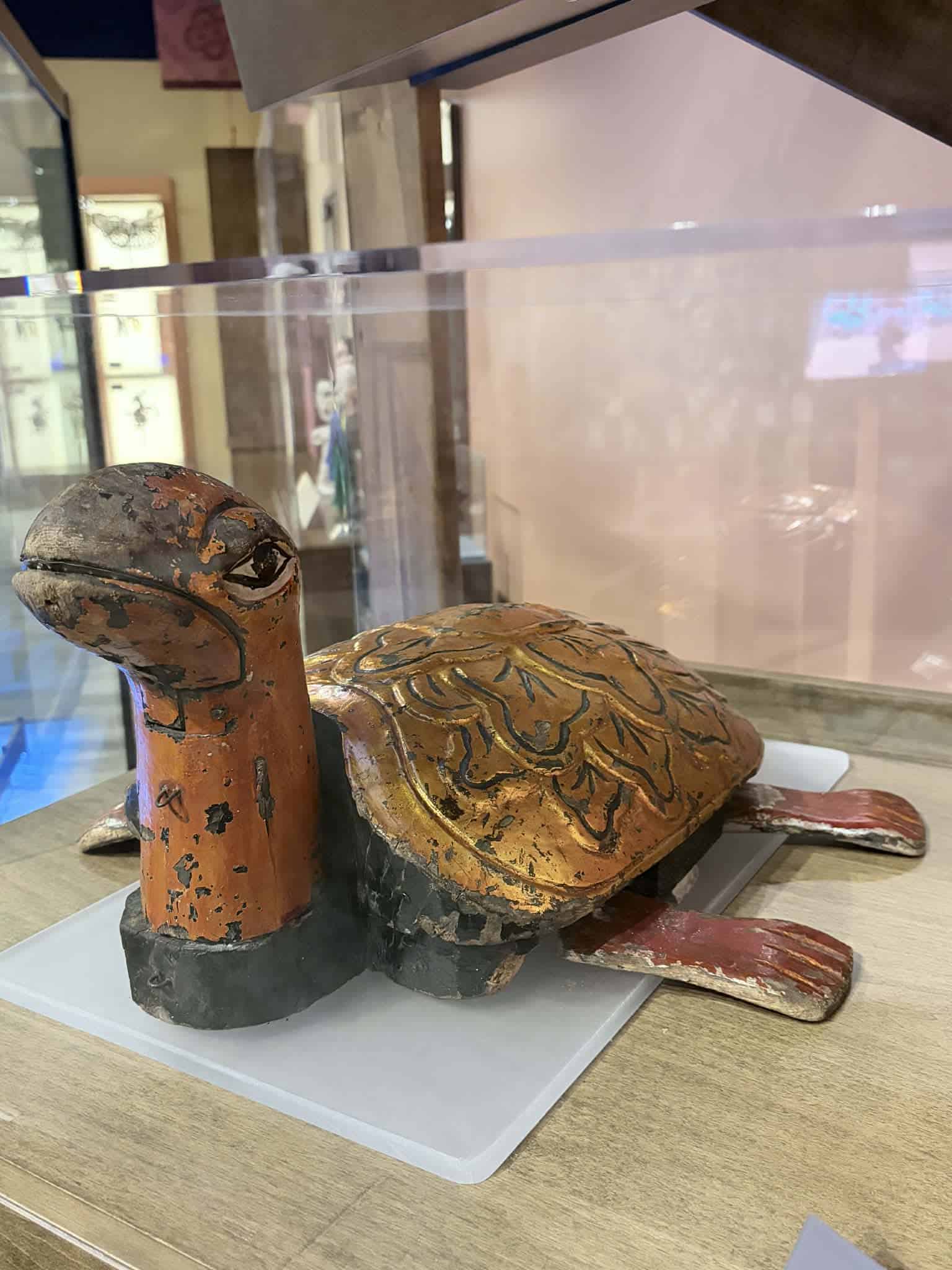 A wooden turtle sculpture with a gold and red painted shell and head, displayed on a white platform inside a glass case, with a blurred indoor setting in the background.