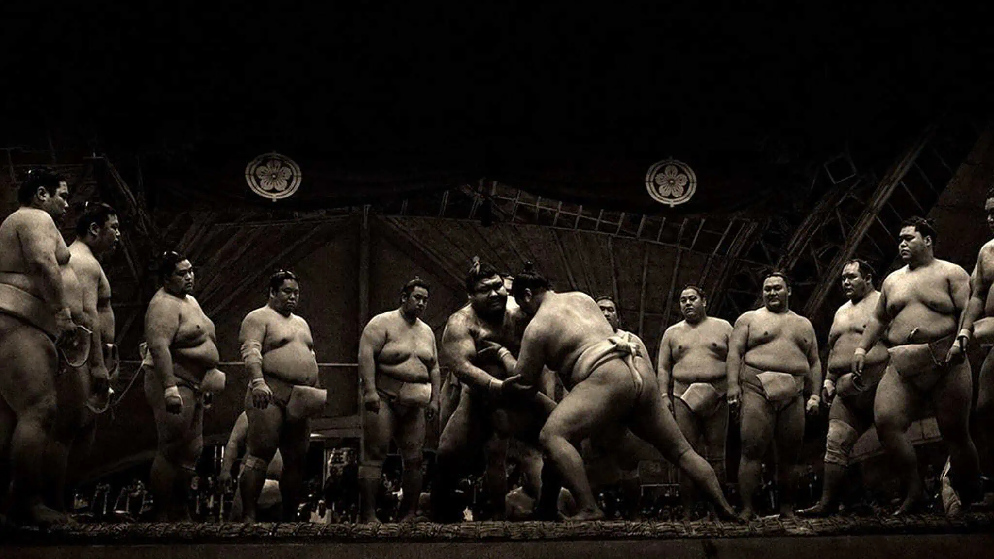 A group of sumo wrestlers, wearing traditional mawashi, watch two sumo wrestlers engaged in a match in a darkly lit arena. The atmosphere is intense and focused.