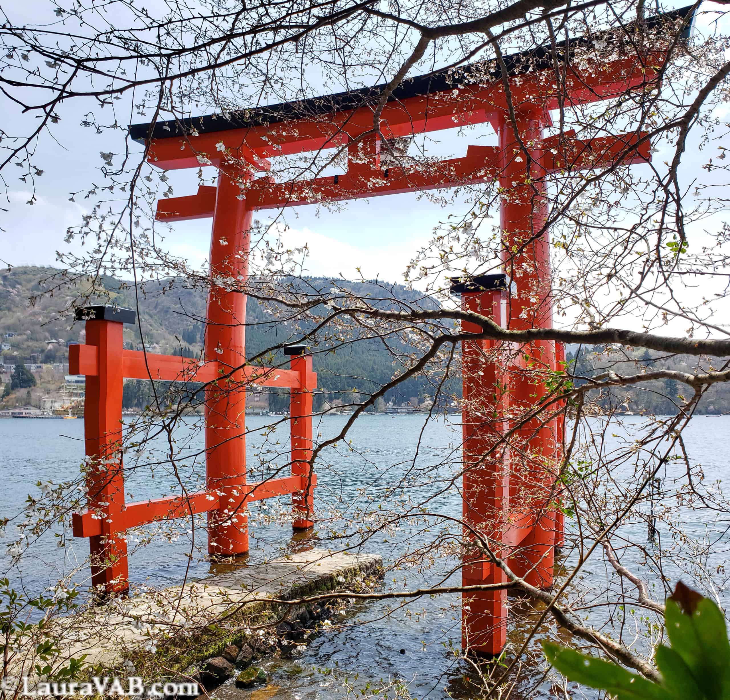 The water gate, seen through sakura.