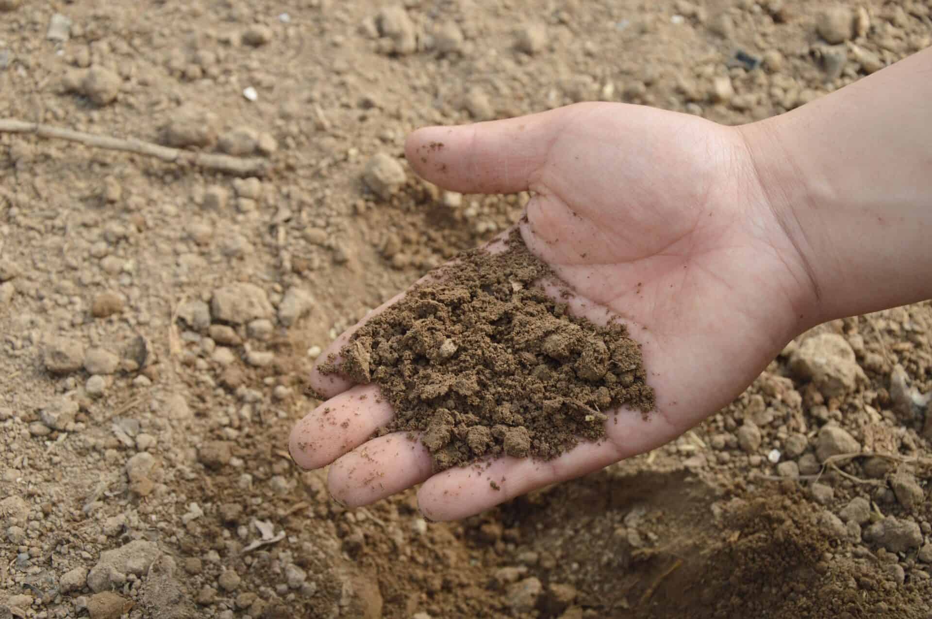 Jing soil