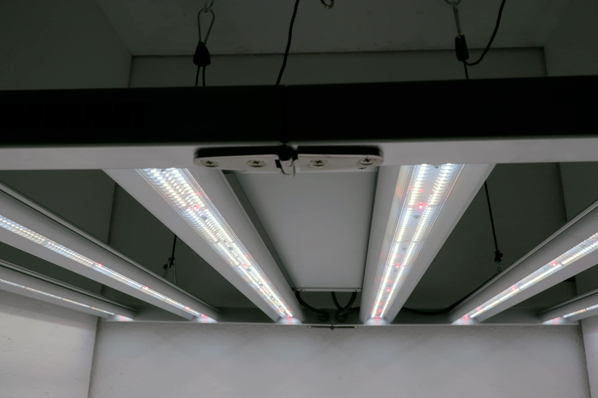 All-on-detail-jacks-1m2-killer-led-grow-light-title-led-horticulture