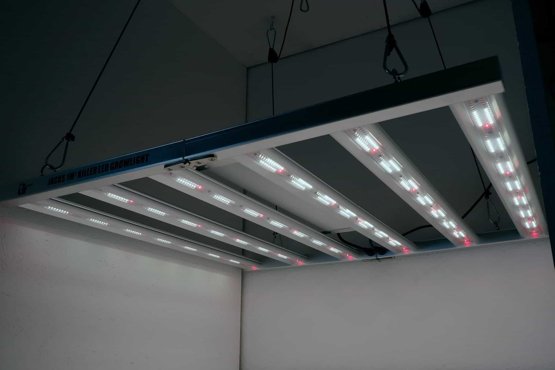 Front-bloom-channel-on-jacks-1m2-killer-led-grow-light-title-led-horticulture