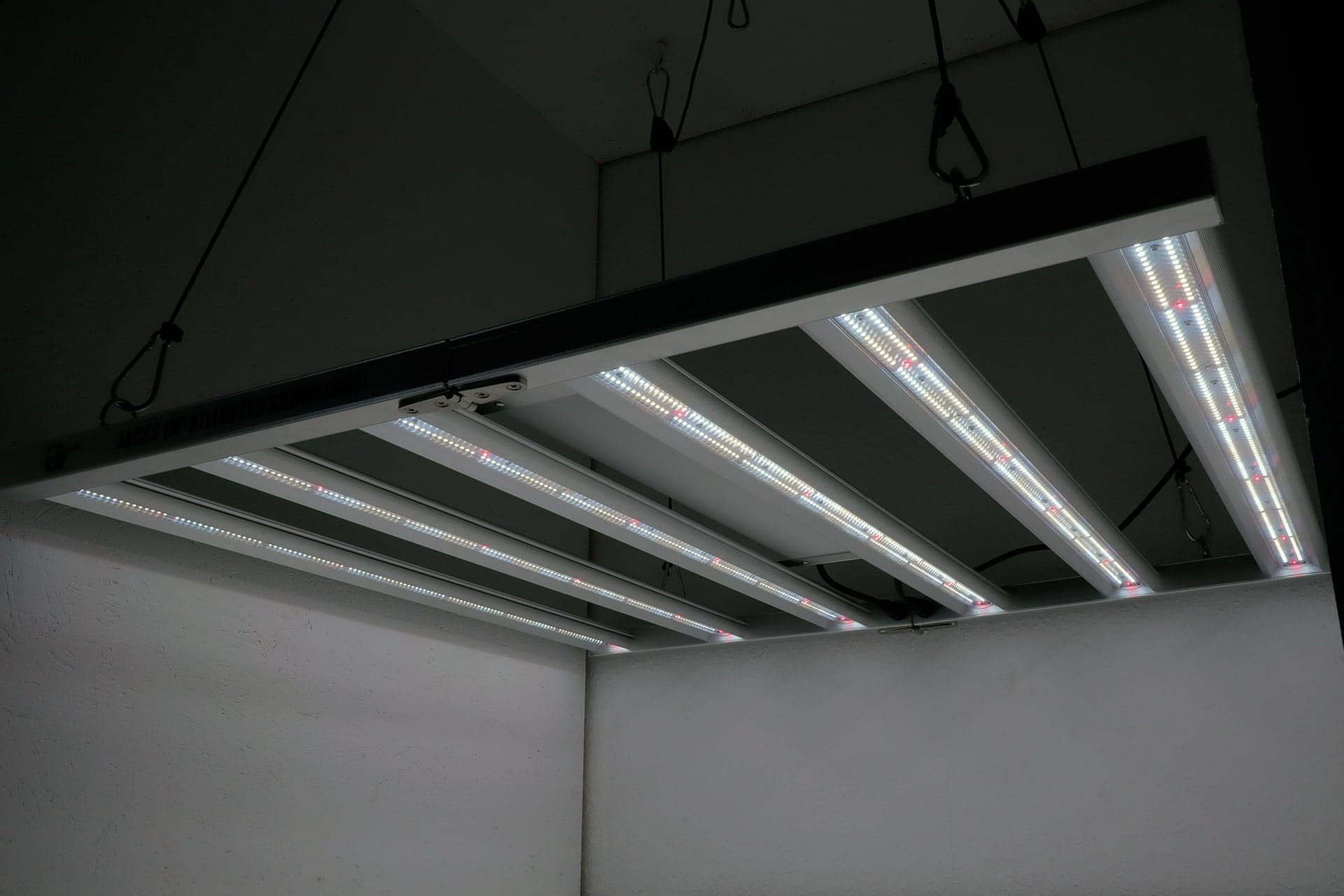 Front-both-channels-on-jacks-1m2-killer-led-grow-light-title-led-horticulture