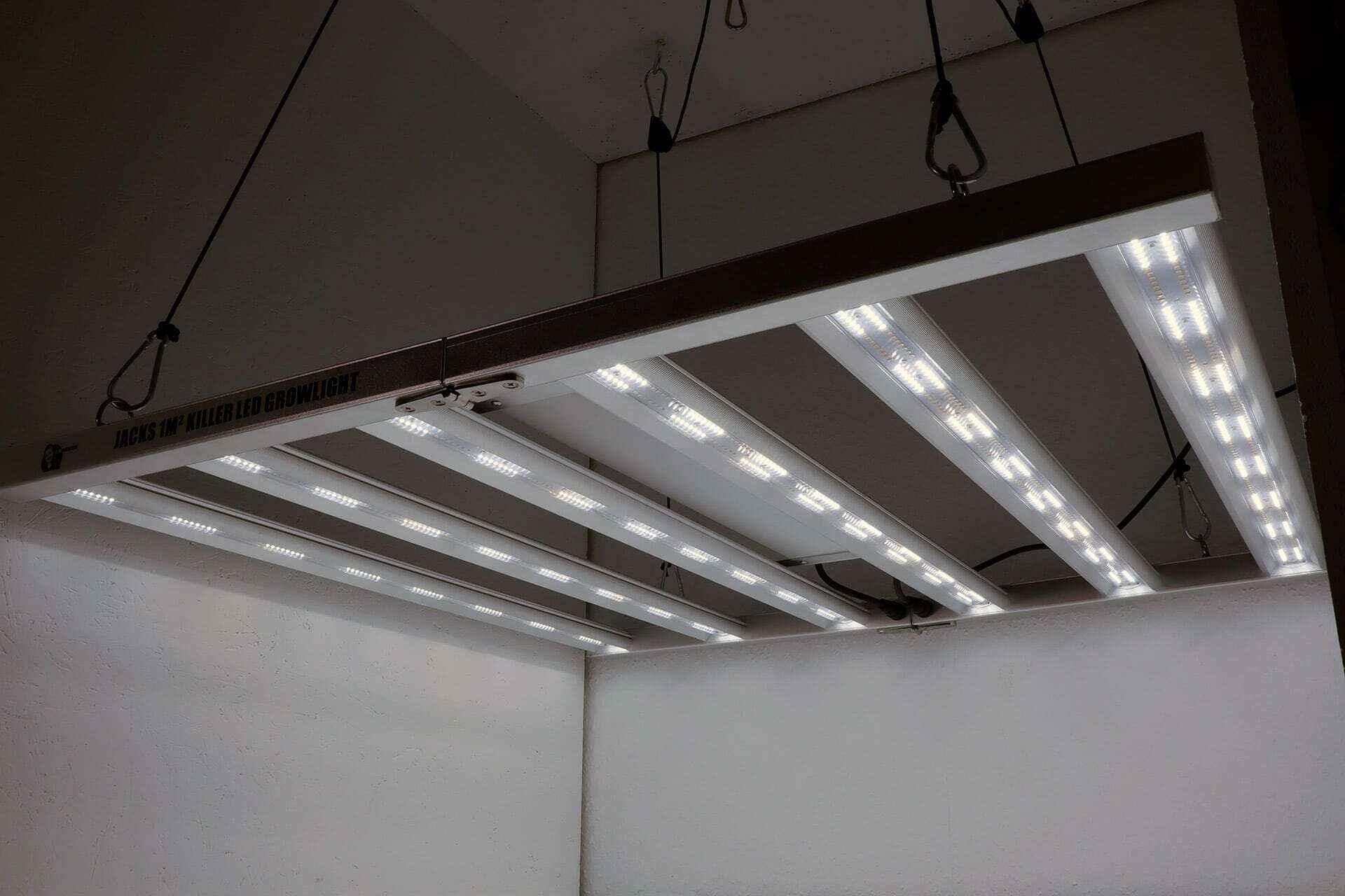 Front-wachstum-channek-on-jacks-1m2-killer-led-grow-light-title-led-horticulture