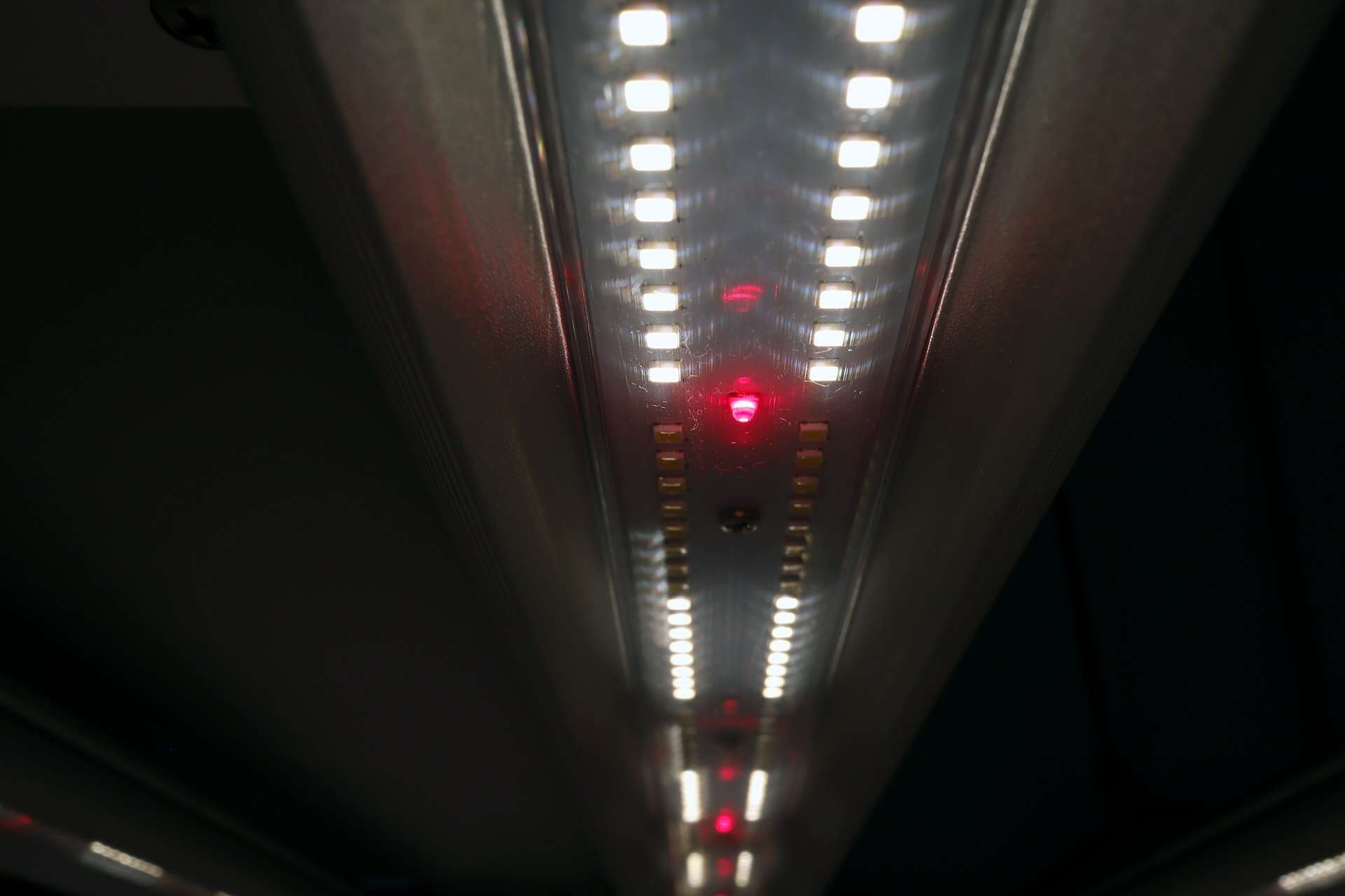 bloom-channel-detail-jacks-1m2-killer-led-grow-light-title-led-horticulture