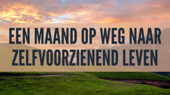We zijn inmiddels een maand onderweg richting een zelfvoorzienend leven. En voorlopig is het vooral veel plannen, uitzoeken en wachten...
