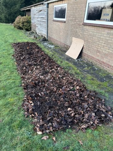 Start van mijn no dig moestuin