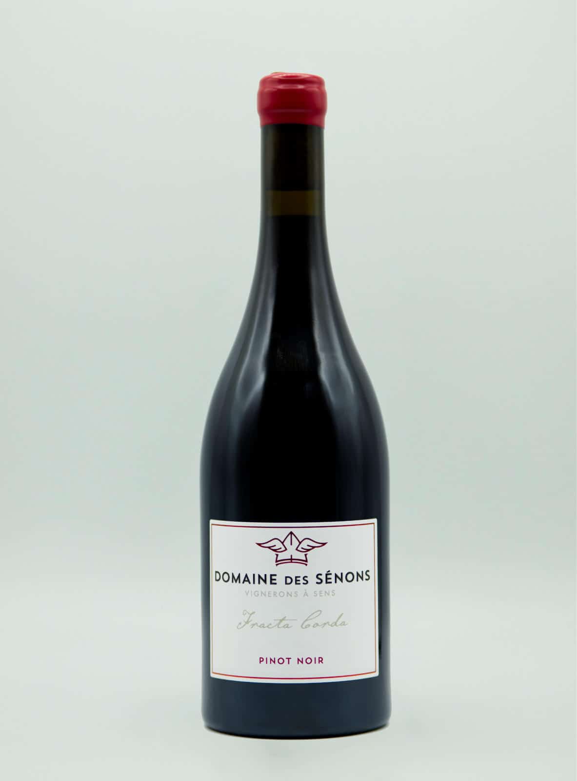 P10236490 Domaine DES SENONS IGP Yonne "Fracta Corda" Pinot Noir 2024 Rouge – Image 1