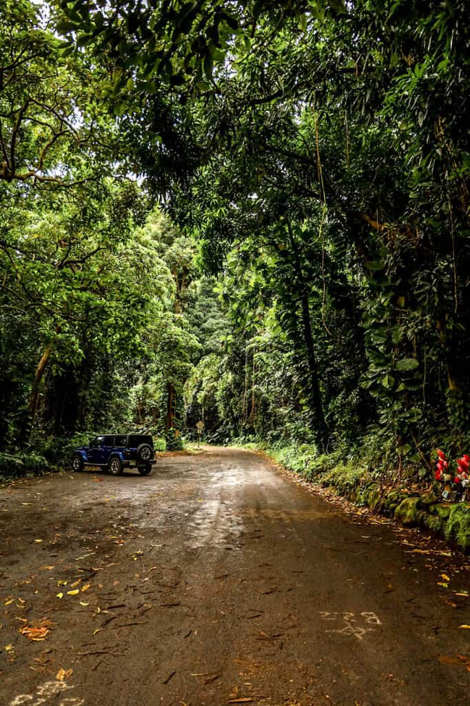 road to hana