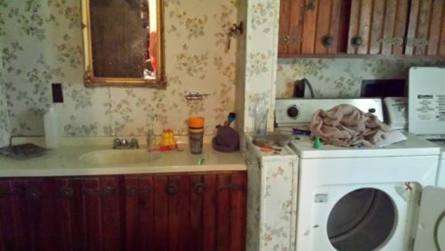 1979 single wide transformation - Original. Masterbath
