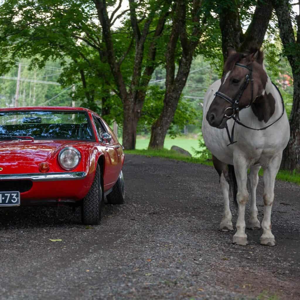 Mobilisti Matti Ouvinen photos with a horse